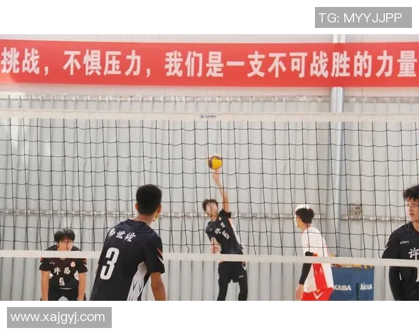 杭州排球队力压群雄荣登排球力量排行榜第一名的背后故事